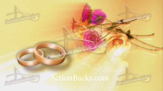 ActionBacks Wedding Motion Clip 701 HD